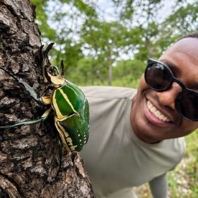 Specie ignote: immagini della biodiversità nascosta dell’altopiano di Lisima, tra insetti, aracnidi, rettili e corsi d’acqua che alimentano grandi bacini africani