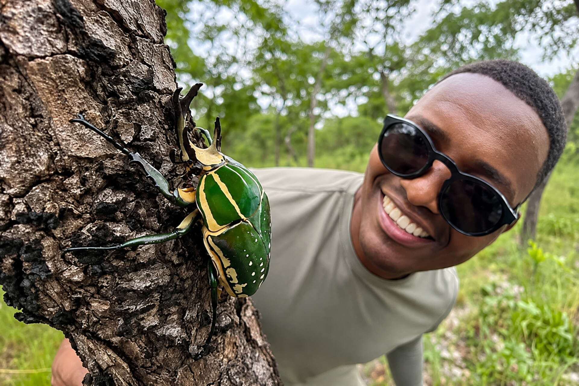 Specie ignote: immagini della biodiversità nascosta dell’altopiano di Lisima, tra insetti, aracnidi, rettili e corsi d’acqua che alimentano grandi bacini africani