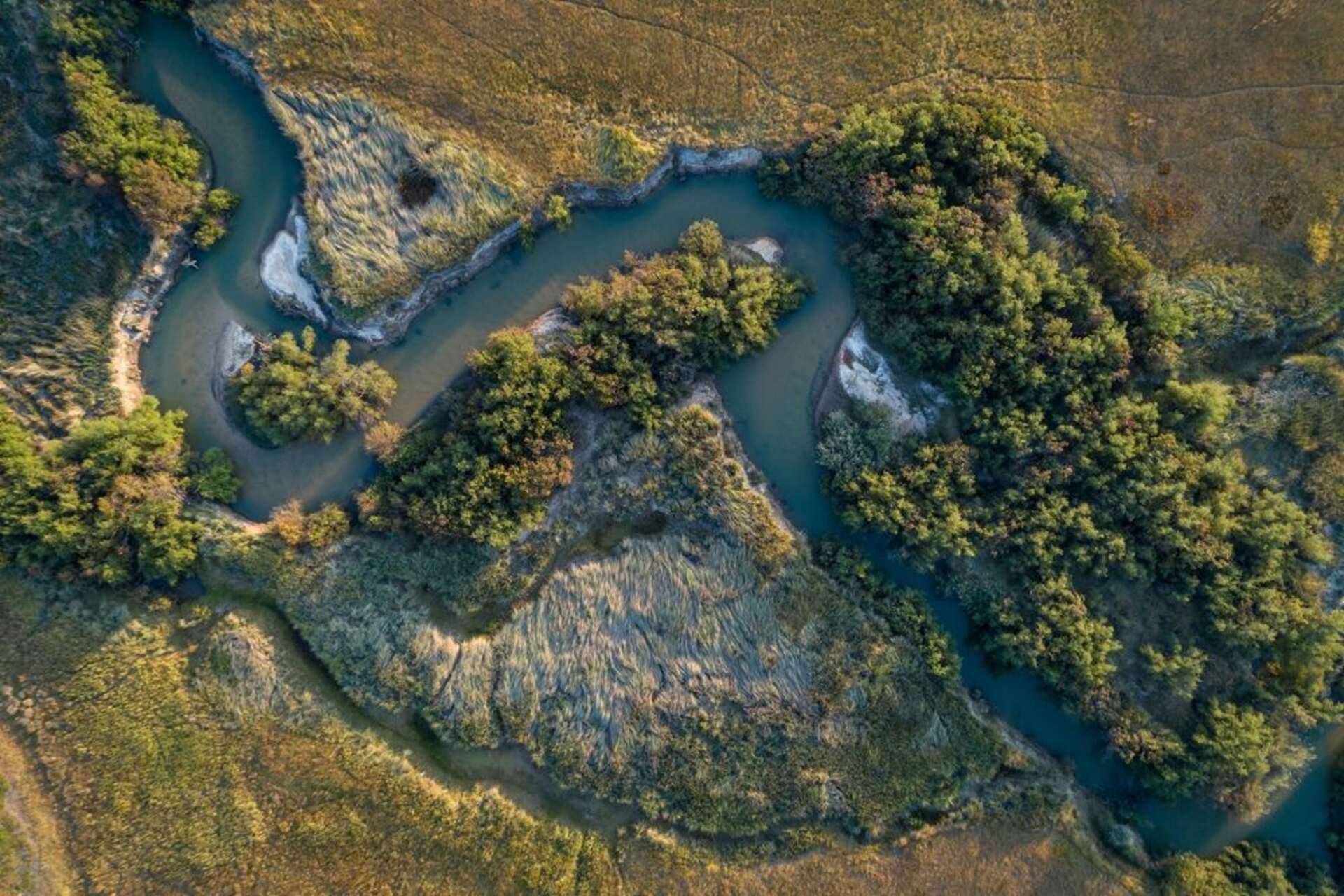 Specie ignote: immagini della biodiversità nascosta dell’altopiano di Lisima, tra insetti, aracnidi, rettili e corsi d’acqua che alimentano grandi bacini africani