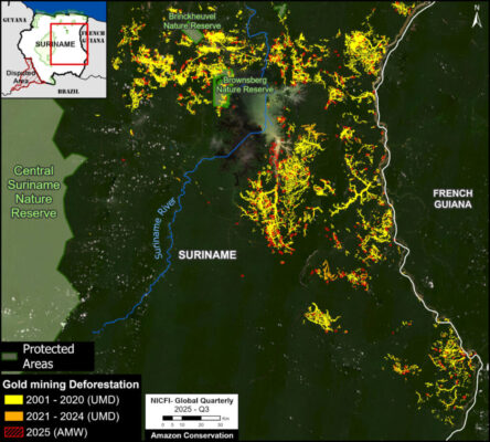 Oro illegale: vista aerea della foresta tropicale del Suriname mostra l’impatto dell’estrazione aurifera su biodiversità, paesaggio e aree protette, tra radure minerarie e vie nella giungla amazzonica