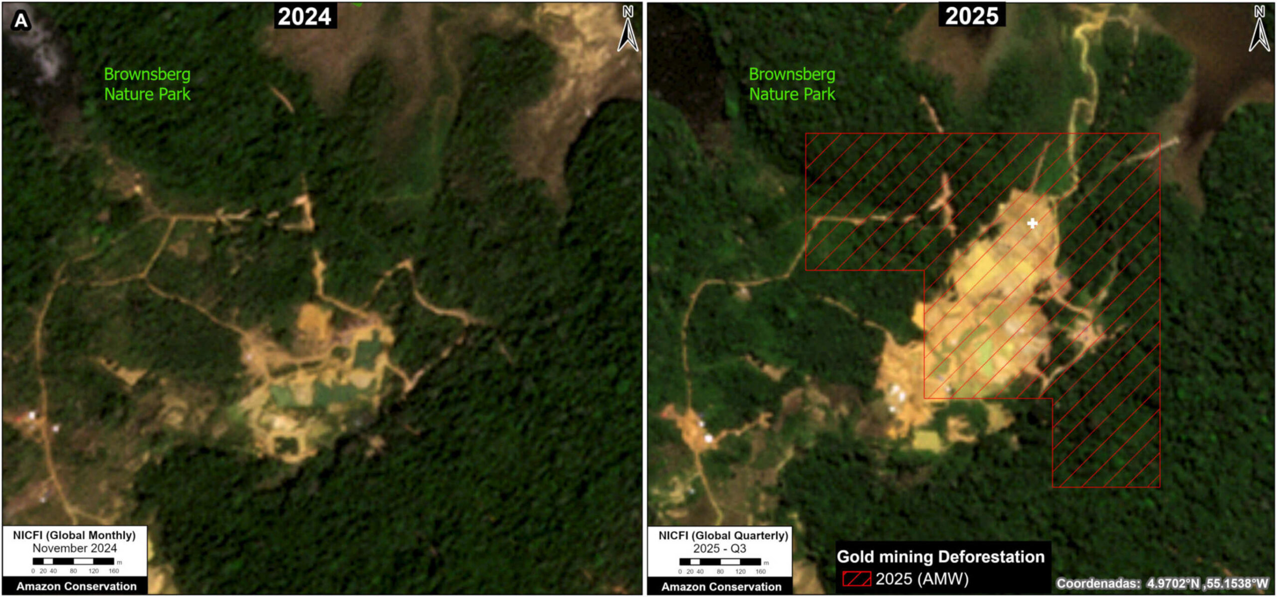 Oro illegale: immagine satellitare confronta la foresta prima e dopo l’espansione mineraria, evidenziando radure, piste e perdita di copertura vegetale in un’area naturale protetta del Suriname rurale