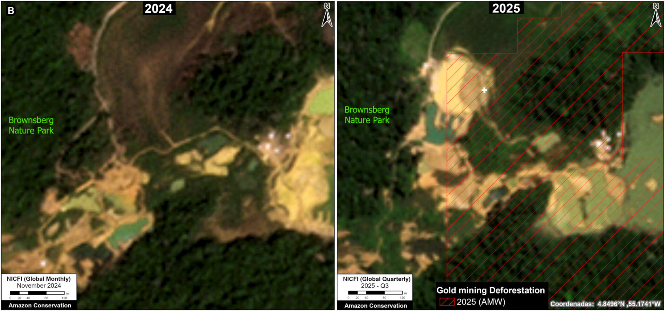 Oro illegale: immagine satellitare confronta la foresta prima e dopo l’espansione mineraria, evidenziando radure, piste e perdita di copertura vegetale in un’area naturale protetta del Suriname rurale