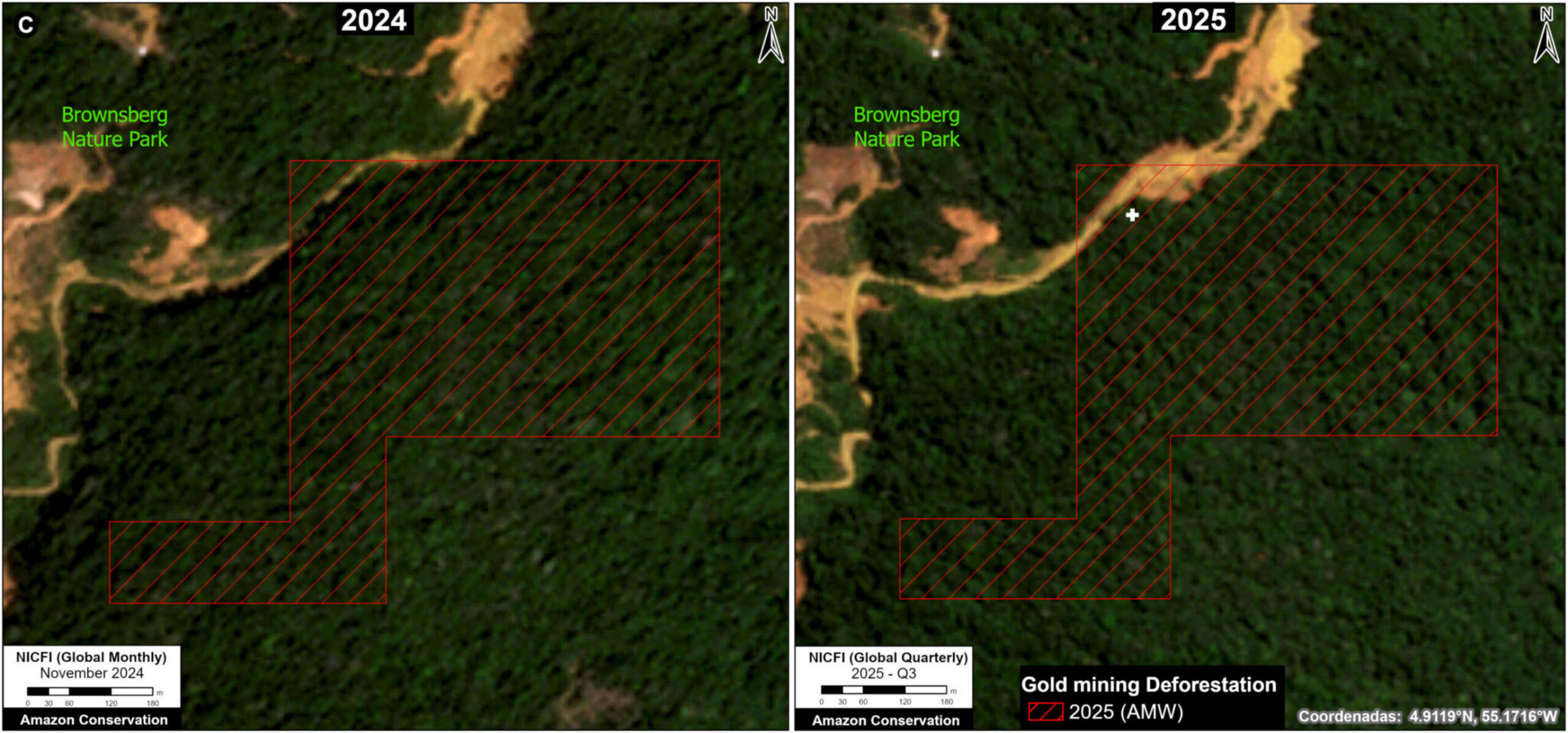 Oro illegale: mappa satellitare del Suriname mostra la deforestazione mineraria nella foresta amazzonica, con aree protette minacciate da nuovi fronti estrattivi e piste aperte nella vegetazione verde