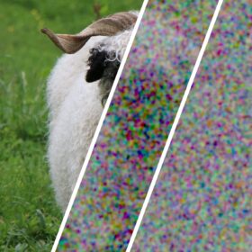 Casualità perfetta: esperimento quantistico dell’ETH di Zurigo per generare numeri casuali certificati, utili alla crittografia e alla sicurezza dei dati digitali