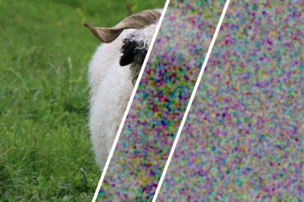 Casualità perfetta: esperimento quantistico dell’ETH di Zurigo per generare numeri casuali certificati, utili alla crittografia e alla sicurezza dei dati digitali