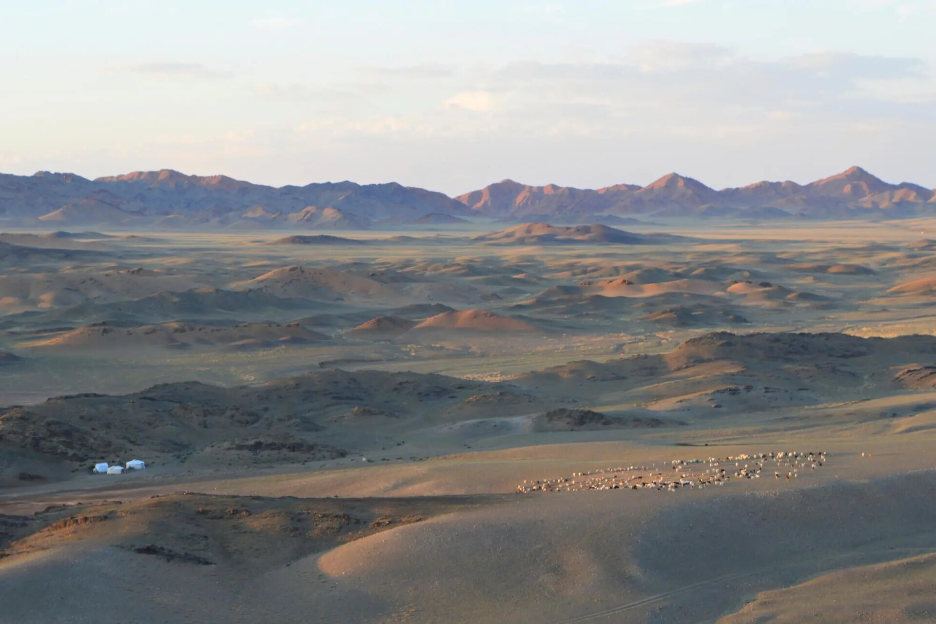 Monti Tost, catena montuosa del Gobi mongolo e rifugio dei felini delle nevi, osservata dai ricercatori per studiare biodiversità, habitat e conservazione in Mongolia
