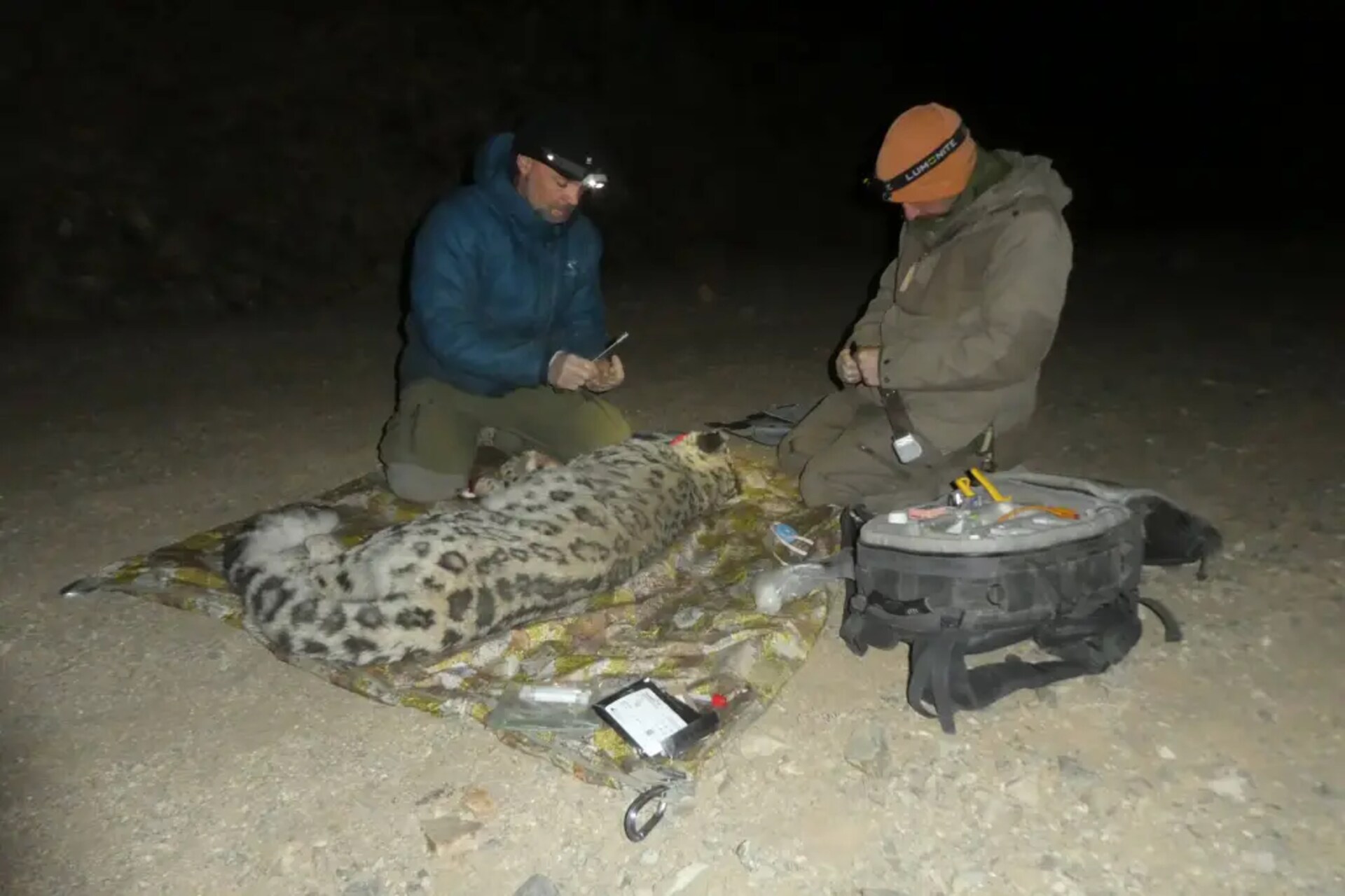Monti Tost nel deserto mongolo, habitat remoto dei leopardi delle nevi e di altre specie alpine, fra rocce, steppe aride e montagne dell’Ömnögovi in Mongolia