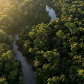 Nella foresta Yaguas l’AI misura la vita nascosta dell’Amazzonia
