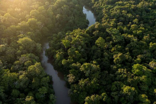 Nella foresta Yaguas l’AI misura la vita nascosta dell’Amazzonia