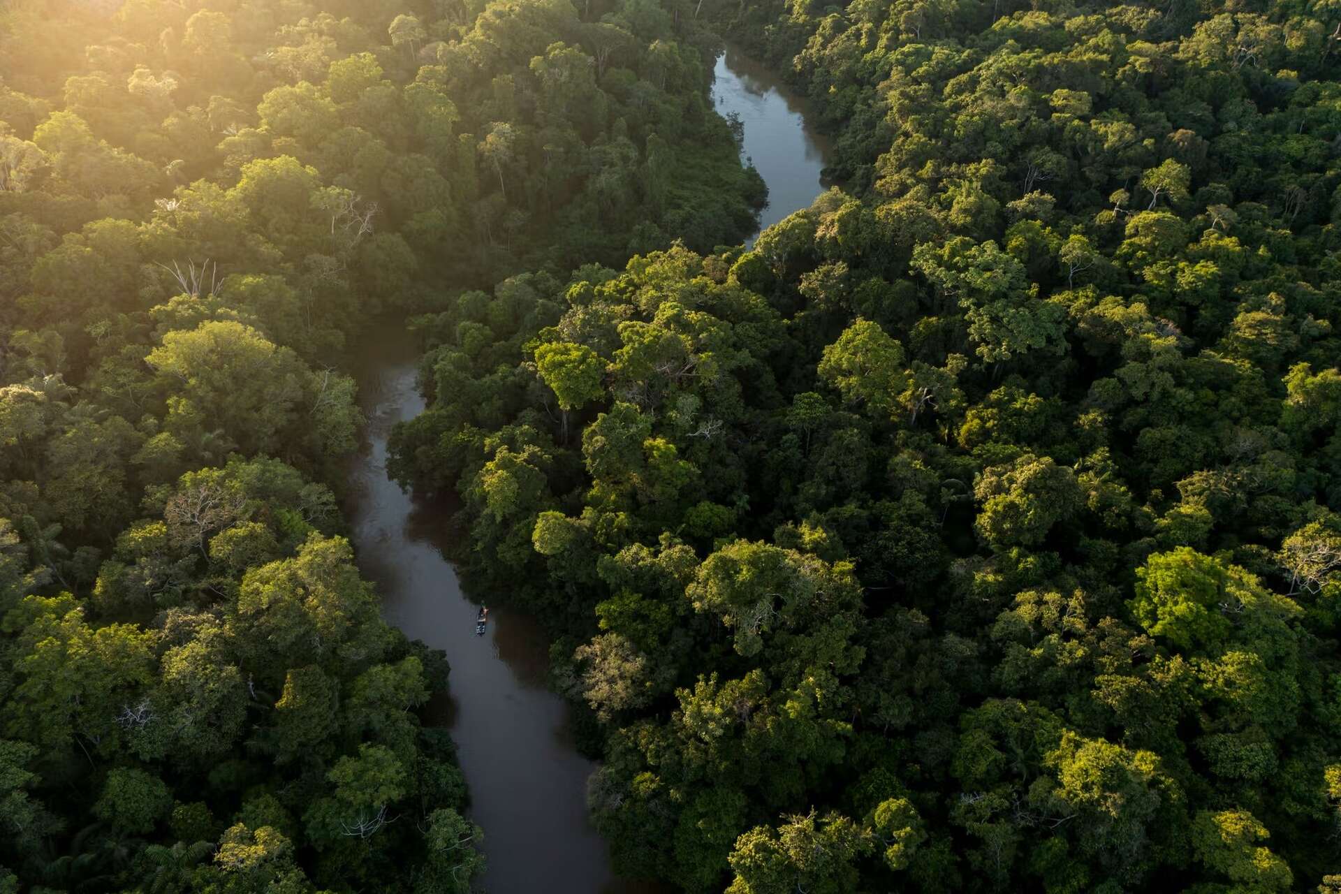Yaguas: paesaggio remoto dell’Amazzonia peruviana con foresta tropicale, corsi d’acqua e attività di ricerca per raccogliere dati ambientali su ecosistemi, fauna e conservazione della natura