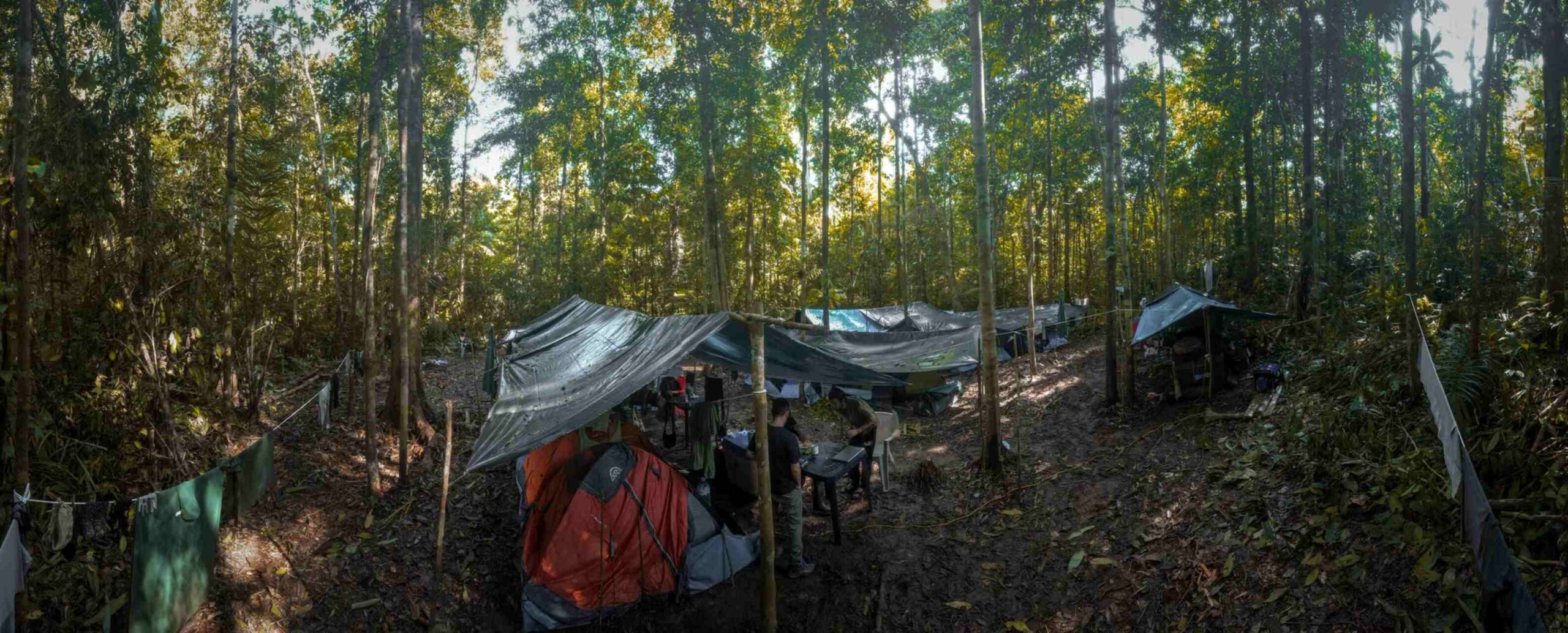 Yaguas: spedizione scientifica nell’Amazzonia peruviana con comunità locali, ricercatori e strumenti digitali per studiare biodiversità, fauna, insetti e conservazione della foresta tropicale