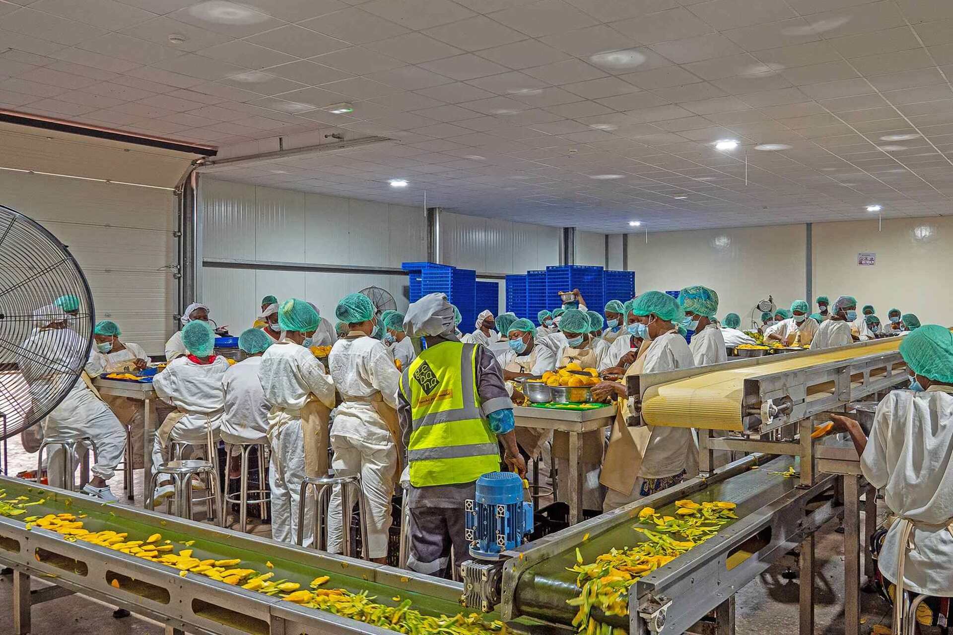 Gebana: lavoratori e rappresentanti partecipano all’inaugurazione della nuova fabbrica in Burkina Faso, dedicata alla trasformazione locale di anacardi e manghi biologici per il mercato
