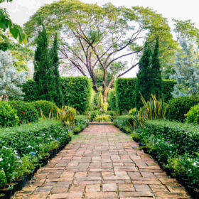 Le emissioni "segrete" dei giardini cittadini