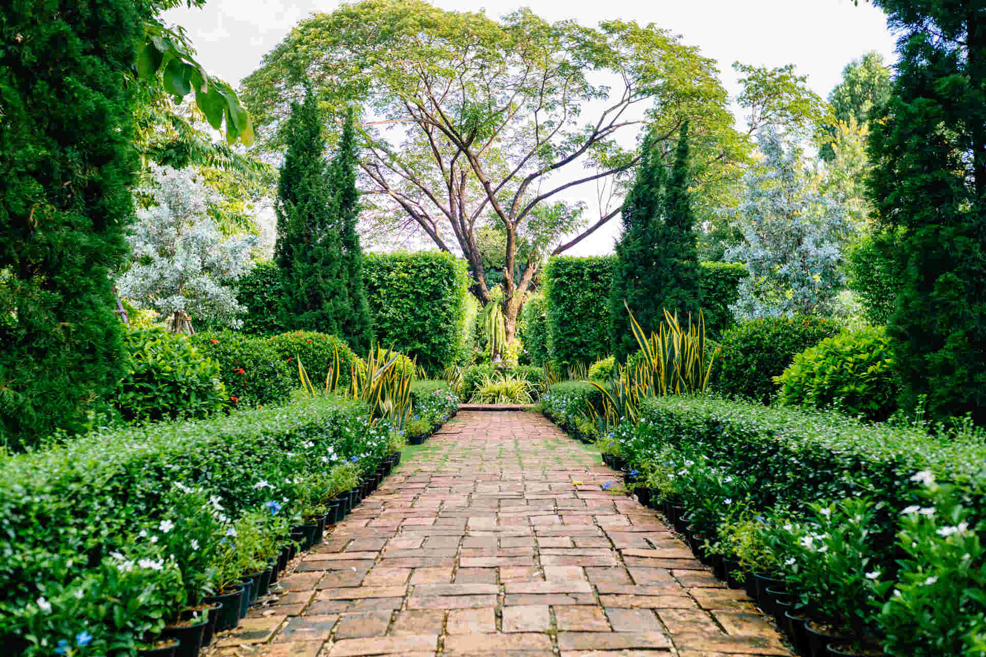 Le emissioni "segrete" dei giardini cittadini