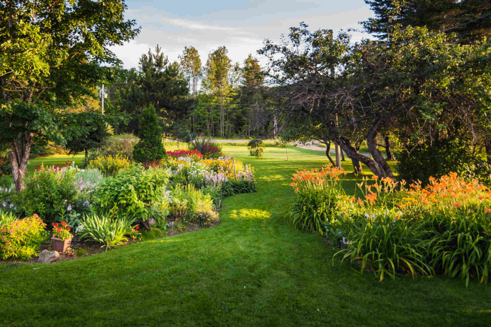 Anche i giardini emettono CO2: lo studio