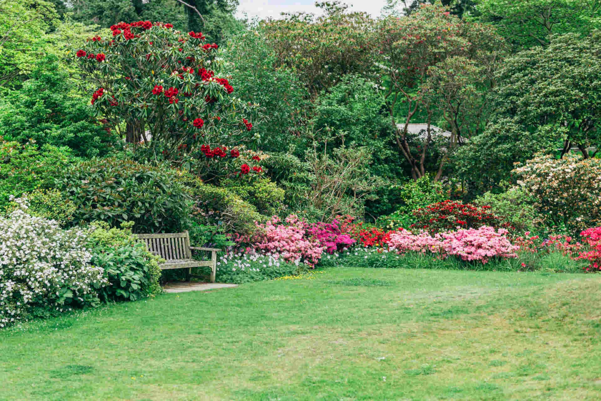 Emissioni di un giardino: lo studio