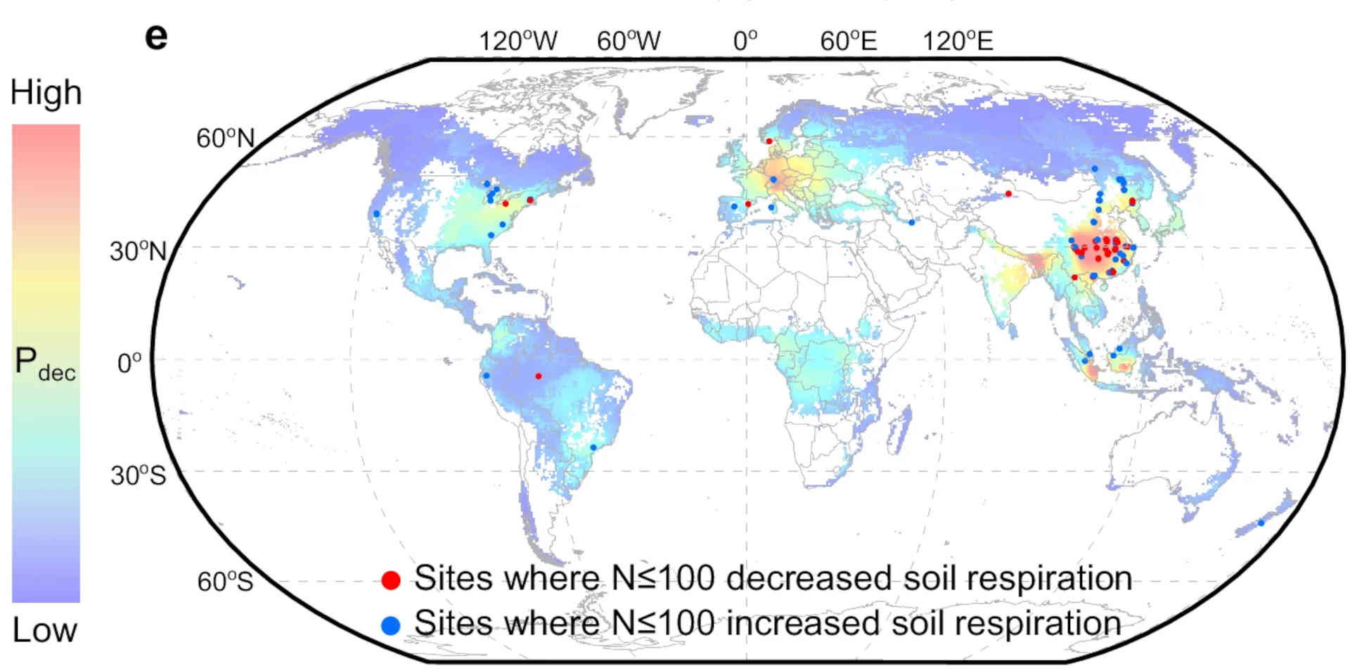 La mappa globale di come respirano le foreste