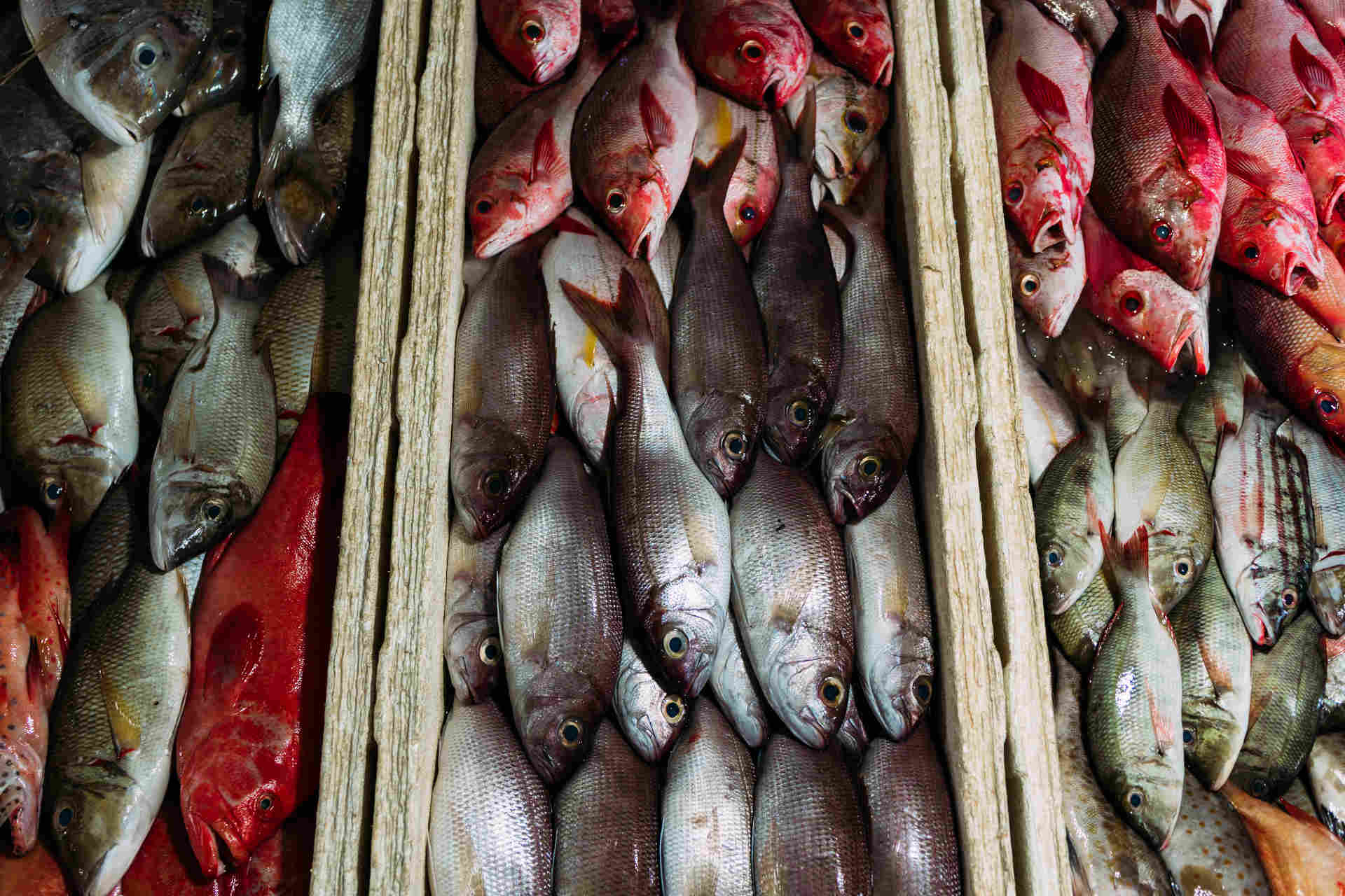 Pesce e prodotti ittici: l'acidificazione è un rischio?