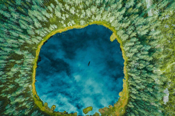 Sodankylä: laboratorio naturale dell’Artico europeo tra foreste, laghi, neve e antenne, usato per collegare osservazioni locali e satelliti nello studio del pianeta che cambia