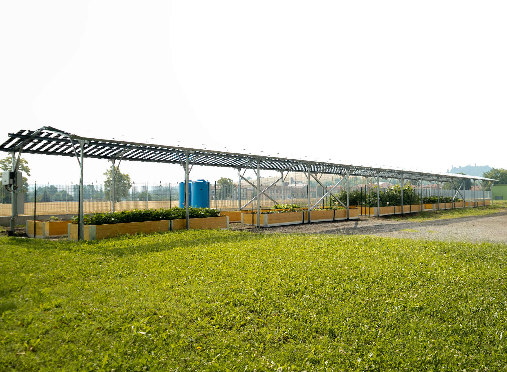 Agrivoltaico e orticoltura bioattiva: inaugurazione del sito pilota con rappresentanti di imprese, istituzioni e partner del progetto, riuniti per presentare una soluzione integrata per energia, cibo e comunità