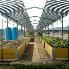Agrivoltaico e orticoltura bioattiva: inaugurazione del sito pilota con rappresentanti di imprese, istituzioni e partner del progetto, riuniti per presentare una soluzione integrata per energia, cibo e comunità