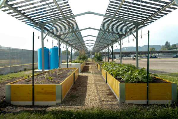 Agrivoltaico e orticoltura bioattiva: inaugurazione del sito pilota con rappresentanti di imprese, istituzioni e partner del progetto, riuniti per presentare una soluzione integrata per energia, cibo e comunità