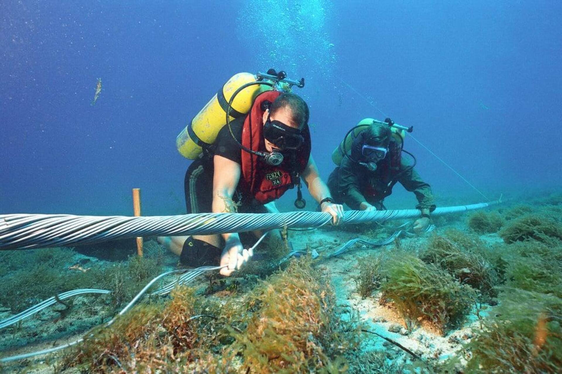Dhivaru: nuovo cavo sottomarino di Google nell’Oceano Indiano, progettato per collegare Maldive, Christmas Island e Oman e rafforzare la connettività digitale regionale