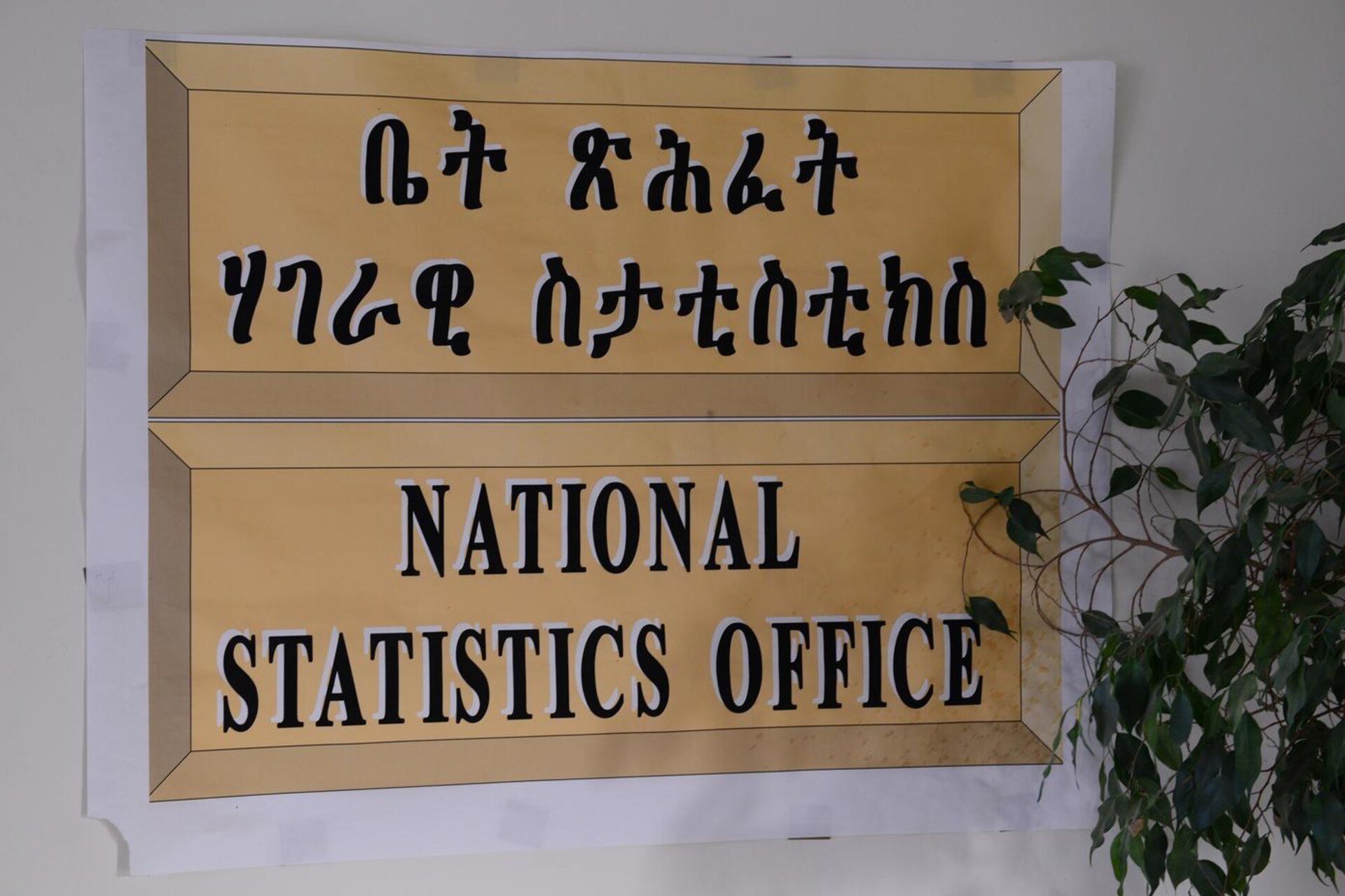Ecco come l’Eritrea digitalizzerà il sistema statistico nazionale