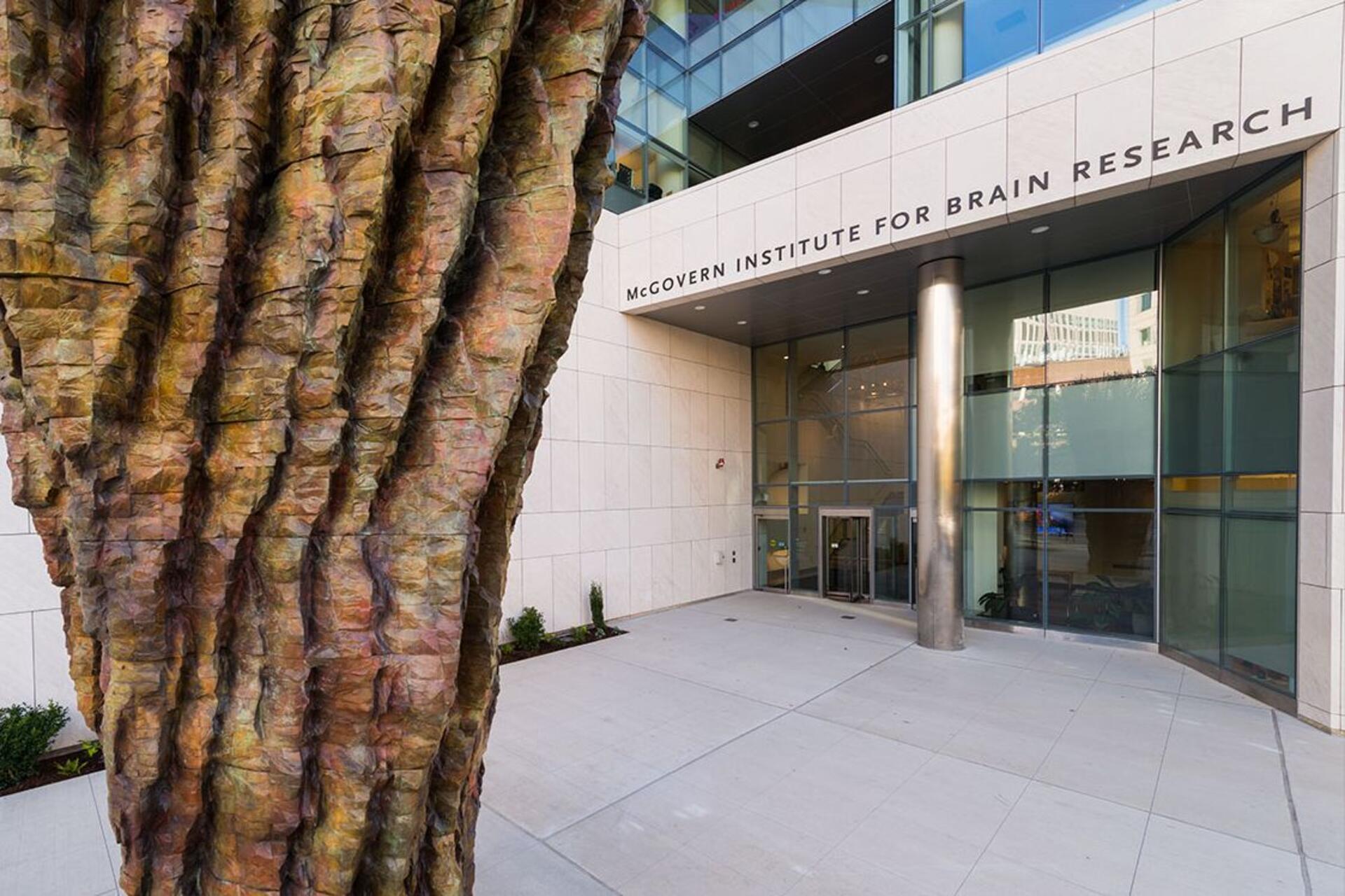 Logica e linguaggio: ricerca neuroscientifica sul funzionamento del cervello umano, con immagini di risonanza magnetica, attività cerebrale e studio dei processi cognitivi legati al pensiero