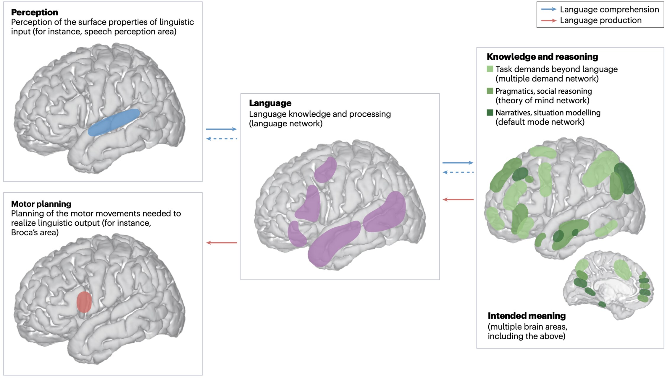 IA dell’EPFL: visualizzazione generica di reti neurali, flussi di dati e moduli specializzati che cooperano nell’elaborazione delle informazioni e nella produzione di risposte automatiche