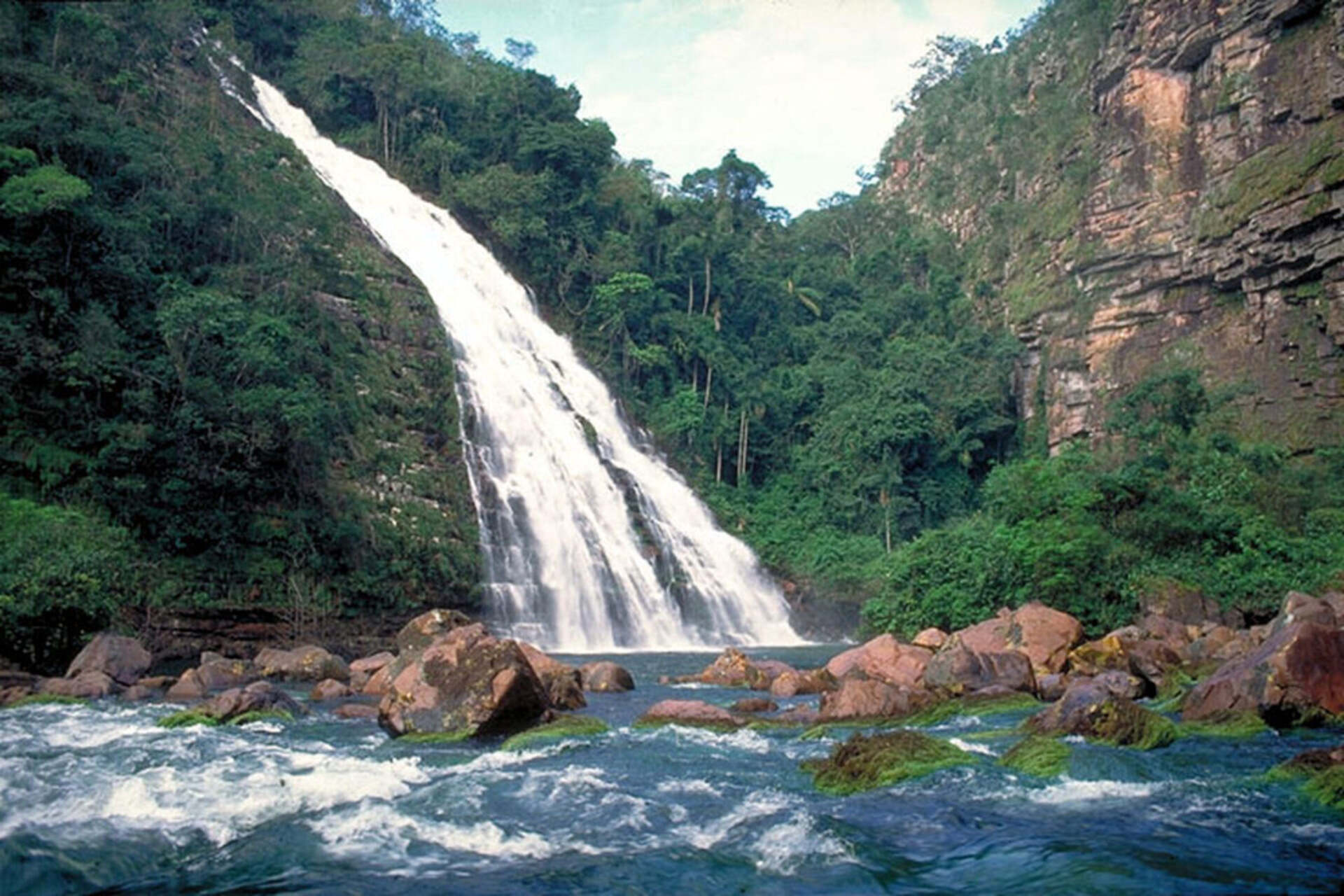 Fiumi volanti e foreste: panorama dell’Amazzonia con nubi, corsi d’acqua e vegetazione tropicale, simbolo del legame tra ciclo dell’acqua, biodiversità, clima e conservazione ambientale