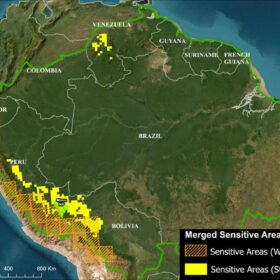 Fiumi volanti e foreste: panorama dell’Amazzonia con nubi, corsi d’acqua e vegetazione tropicale, simbolo del legame tra ciclo dell’acqua, biodiversità, clima e conservazione ambientale